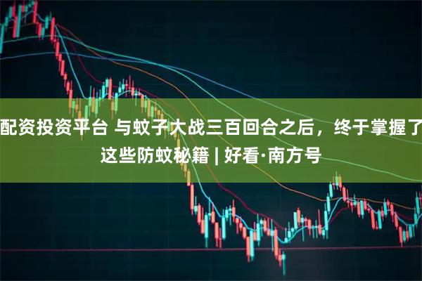 配资投资平台 与蚊子大战三百回合之后，终于掌握了这些防蚊秘籍 | 好看·南方号