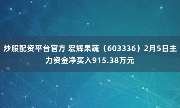 炒股配资平台官方 宏辉果蔬（603336）2月5日主力资金净买入915.38万元